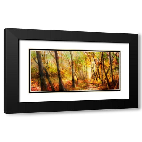 Forest Pathway Black Modern Wood Framed Art Print with Double Matting by Roko, Ken