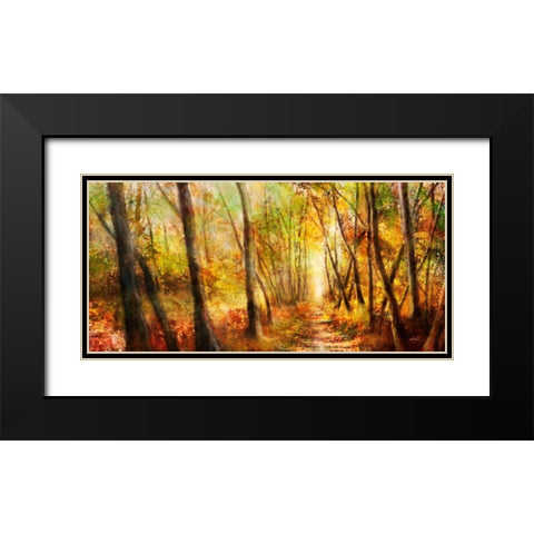 Forest Pathway Black Modern Wood Framed Art Print with Double Matting by Roko, Ken