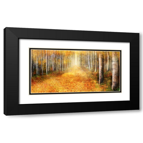 Yellow Path 1 Black Modern Wood Framed Art Print with Double Matting by Roko, Ken
