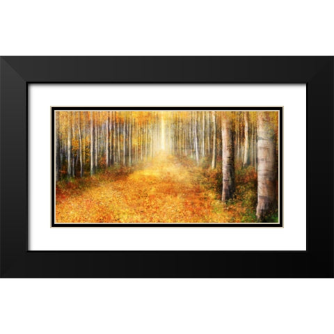 Yellow Path 1 Black Modern Wood Framed Art Print with Double Matting by Roko, Ken