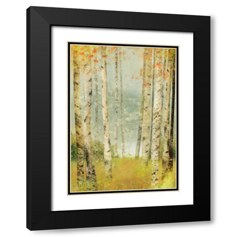 Yellow Birch 1 Black Modern Wood Framed Art Print with Double Matting by Roko, Ken
