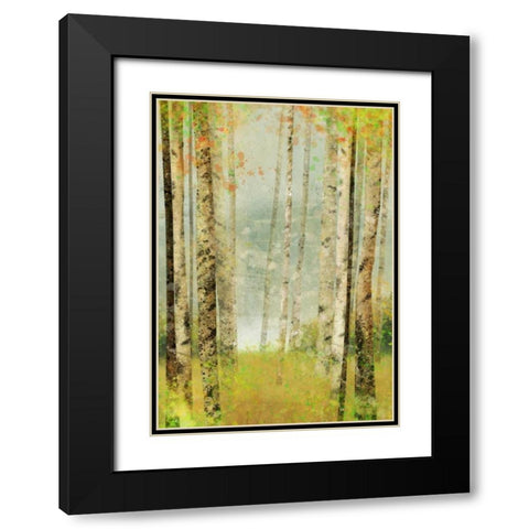 Yellow Birch 2 Black Modern Wood Framed Art Print with Double Matting by Roko, Ken
