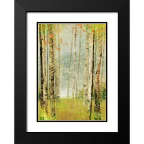 Yellow Birch 2 Black Modern Wood Framed Art Print with Double Matting by Roko, Ken