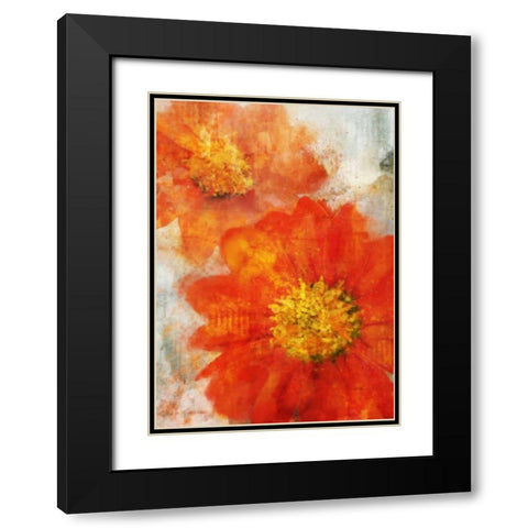 Tithonia Bloom 1 Black Modern Wood Framed Art Print with Double Matting by Roko, Ken