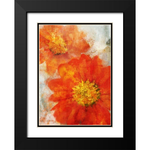 Tithonia Bloom 1 Black Modern Wood Framed Art Print with Double Matting by Roko, Ken