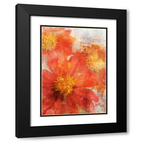 Tithonia Bloom 2 Black Modern Wood Framed Art Print with Double Matting by Roko, Ken