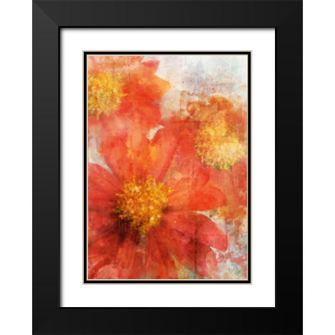 Tithonia Bloom 2 Black Modern Wood Framed Art Print with Double Matting by Roko, Ken