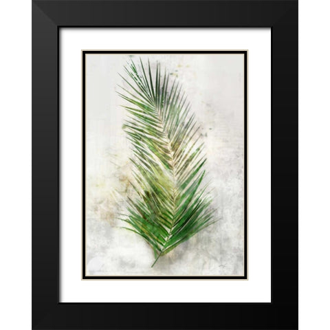 Textured Areca Palm Black Modern Wood Framed Art Print with Double Matting by Roko, Ken
