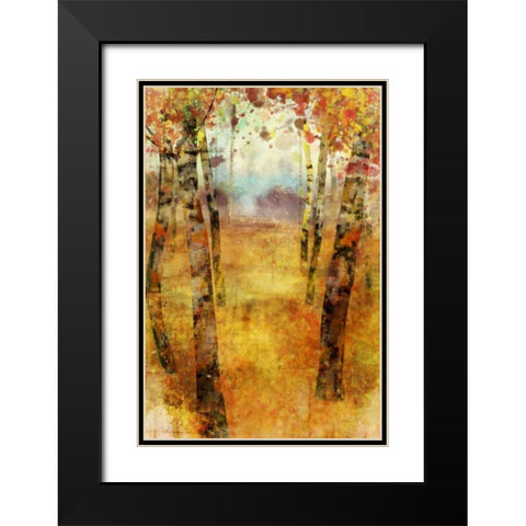 Splashes of Fall Black Modern Wood Framed Art Print with Double Matting by Roko, Ken