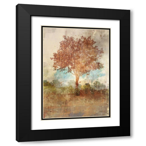 Sun Dappled Tree Black Modern Wood Framed Art Print with Double Matting by Roko, Ken