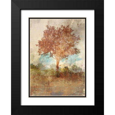 Sun Dappled Tree Black Modern Wood Framed Art Print with Double Matting by Roko, Ken