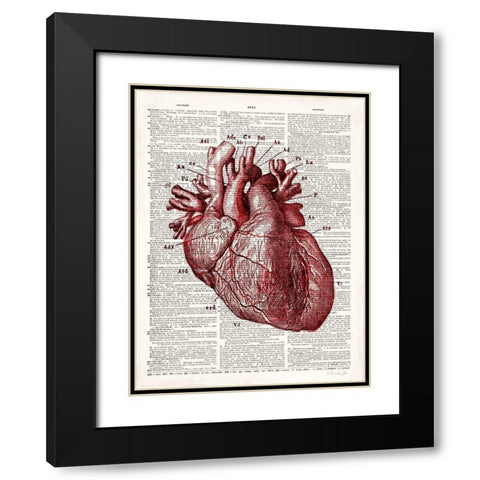 Vintage Anatomy Heart Black Modern Wood Framed Art Print with Double Matting by James, Christopher