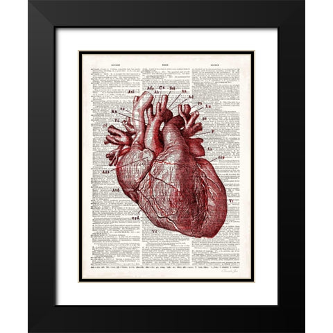 Vintage Anatomy Heart Black Modern Wood Framed Art Print with Double Matting by James, Christopher
