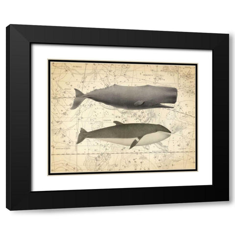 Whale Costellation 1 Black Modern Wood Framed Art Print with Double Matting by James, Christopher