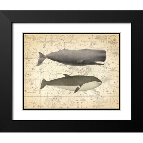 Whale Costellation 1 Black Modern Wood Framed Art Print with Double Matting by James, Christopher