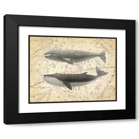 Whale Constellation 2 Black Modern Wood Framed Art Print with Double Matting by James, Christopher