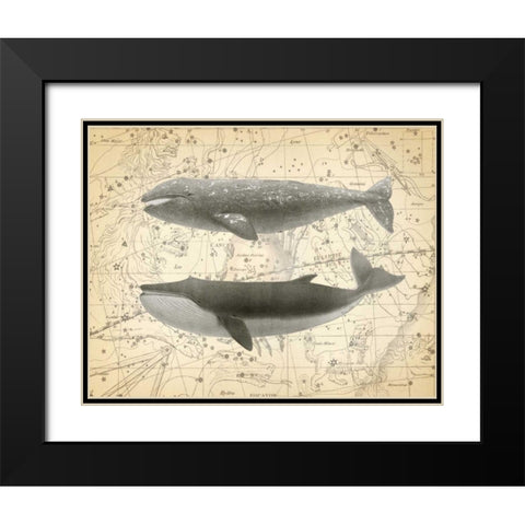 Whale Constellation 2 Black Modern Wood Framed Art Print with Double Matting by James, Christopher