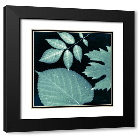 Teal Sunprint Leaves Black Modern Wood Framed Art Print with Double Matting by Zamudio, Dan