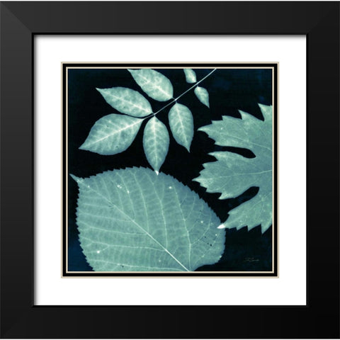 Teal Sunprint Leaves Black Modern Wood Framed Art Print with Double Matting by Zamudio, Dan