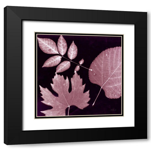 Cabernet Sunprint Leaves Black Modern Wood Framed Art Print with Double Matting by Zamudio, Dan