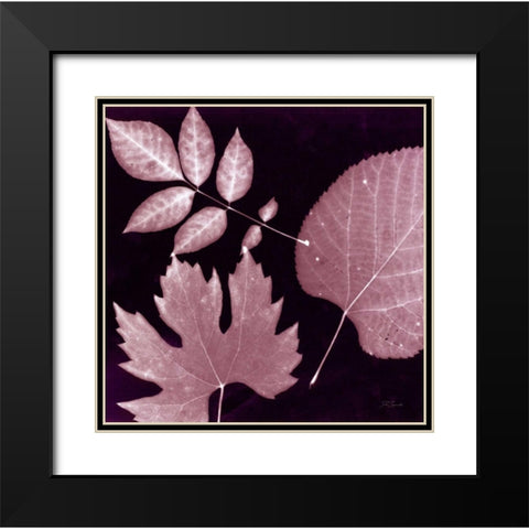 Cabernet Sunprint Leaves Black Modern Wood Framed Art Print with Double Matting by Zamudio, Dan