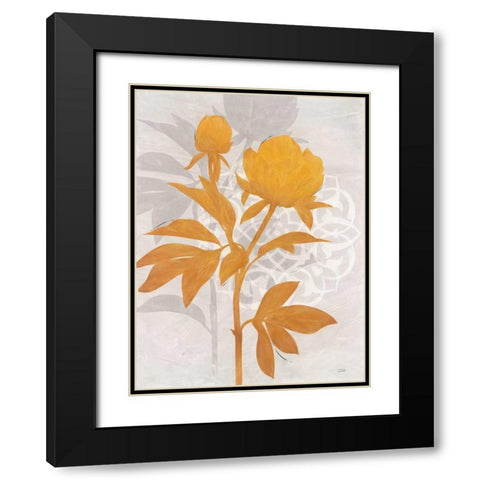 Amber Peony 1 Black Modern Wood Framed Art Print with Double Matting by Stoyanov, Ivo