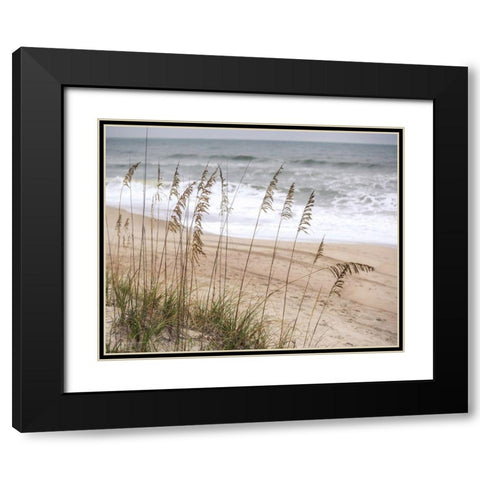 Silver Seagrass Black Modern Wood Framed Art Print with Double Matting by Semenza, Marlana