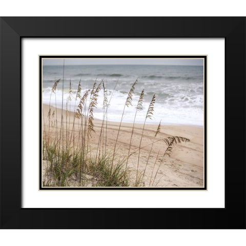 Silver Seagrass Black Modern Wood Framed Art Print with Double Matting by Semenza, Marlana