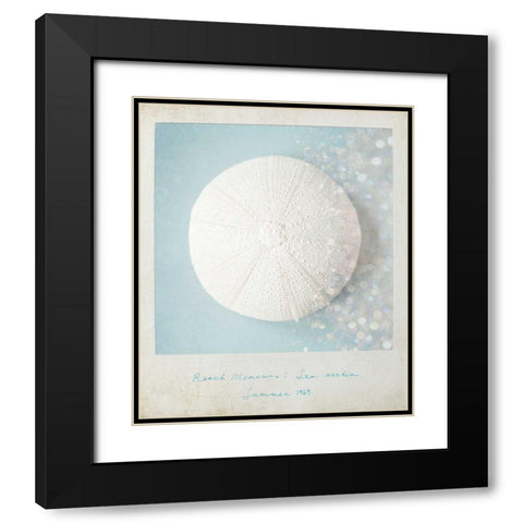 Beach Memories Sea Urchin Black Modern Wood Framed Art Print with Double Matting by Susannah Tucker Photography