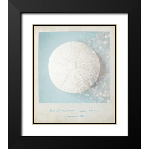 Beach Memories Sea Urchin Black Modern Wood Framed Art Print with Double Matting by Susannah Tucker Photography