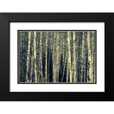 Birch Dream Black Modern Wood Framed Art Print with Double Matting by Dickinson, Robin