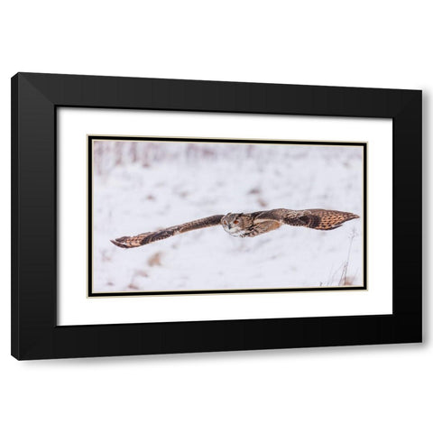 Swoop! Black Modern Wood Framed Art Print with Double Matting by Mark Spowart Photography