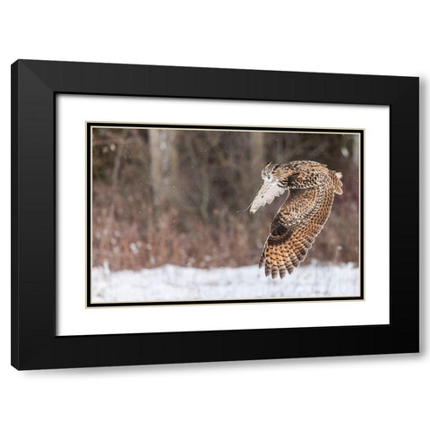 Take Flight Black Modern Wood Framed Art Print with Double Matting by Mark Spowart Photography