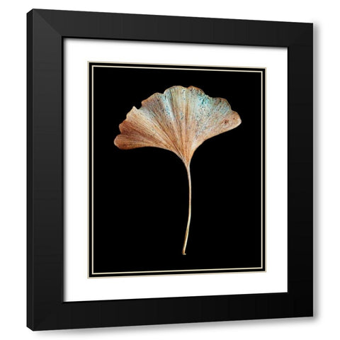 Rustic Leaf 1 Black Modern Wood Framed Art Print with Double Matting by Bookbinder, David