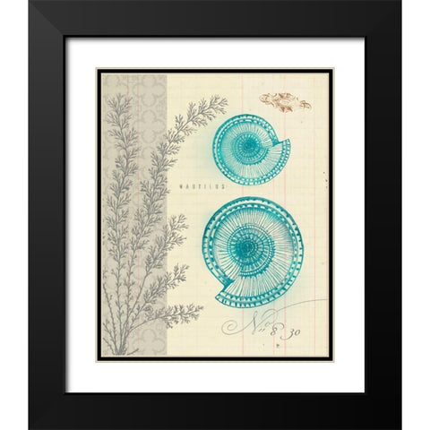 Sea Life 4 Black Modern Wood Framed Art Print with Double Matting by Z Studio