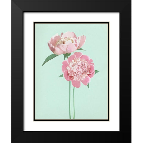 SummerPeonies Black Modern Wood Framed Art Print with Double Matting by Dos Santos, Bella