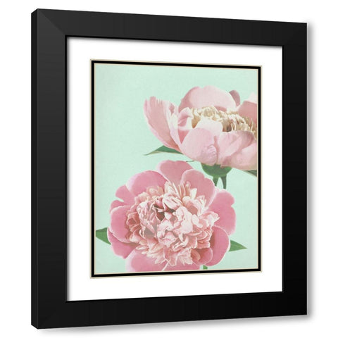 Summer Peonies Detail Black Modern Wood Framed Art Print with Double Matting by Dos Santos, Bella