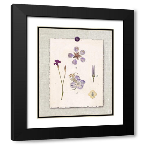 Paris Flea Market Petals Black Modern Wood Framed Art Print with Double Matting by Ross, Devon