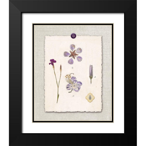 Paris Flea Market Petals Black Modern Wood Framed Art Print with Double Matting by Ross, Devon