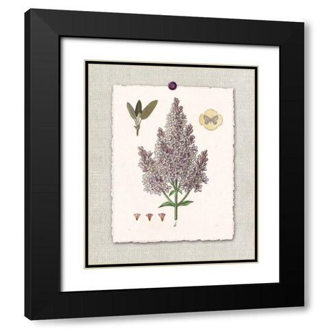 Paris Flea Market Lilacs Black Modern Wood Framed Art Print with Double Matting by Ross, Devon
