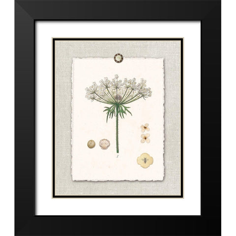 Paris FL Mrkt Queen Annes Lace Black Modern Wood Framed Art Print with Double Matting by Ross, Devon