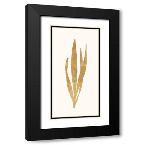 Gold Botanical 1 Black Modern Wood Framed Art Print with Double Matting by Ross, Devon