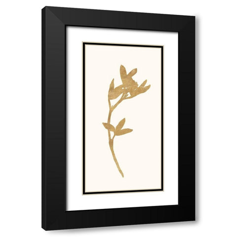 Gold Botanical 2 Black Modern Wood Framed Art Print with Double Matting by Ross, Devon