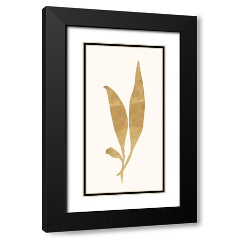 Gold Botanical 5 Black Modern Wood Framed Art Print with Double Matting by Ross, Devon