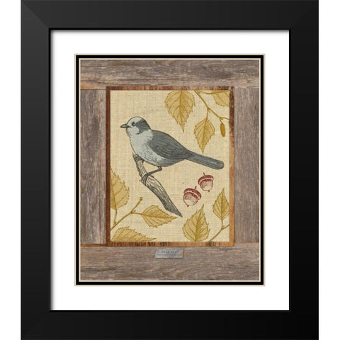 Gray Jay Black Modern Wood Framed Art Print with Double Matting by Appleman, Sam