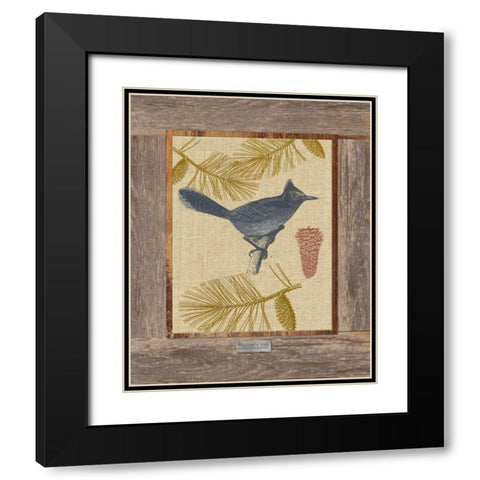 Steller Jay Black Modern Wood Framed Art Print with Double Matting by Appleman, Sam