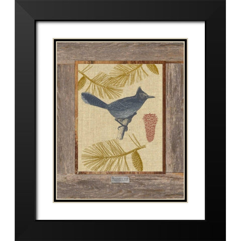 Steller Jay Black Modern Wood Framed Art Print with Double Matting by Appleman, Sam