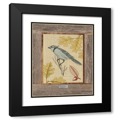 Blue Jay Black Modern Wood Framed Art Print with Double Matting by Appleman, Sam