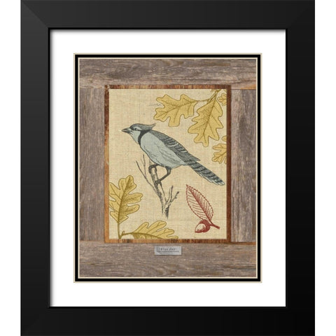 Blue Jay Black Modern Wood Framed Art Print with Double Matting by Appleman, Sam
