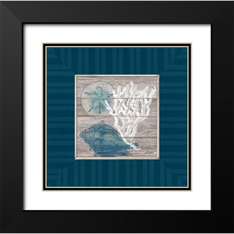Coastal Wonders Black Modern Wood Framed Art Print with Double Matting by Appleman, Sam
